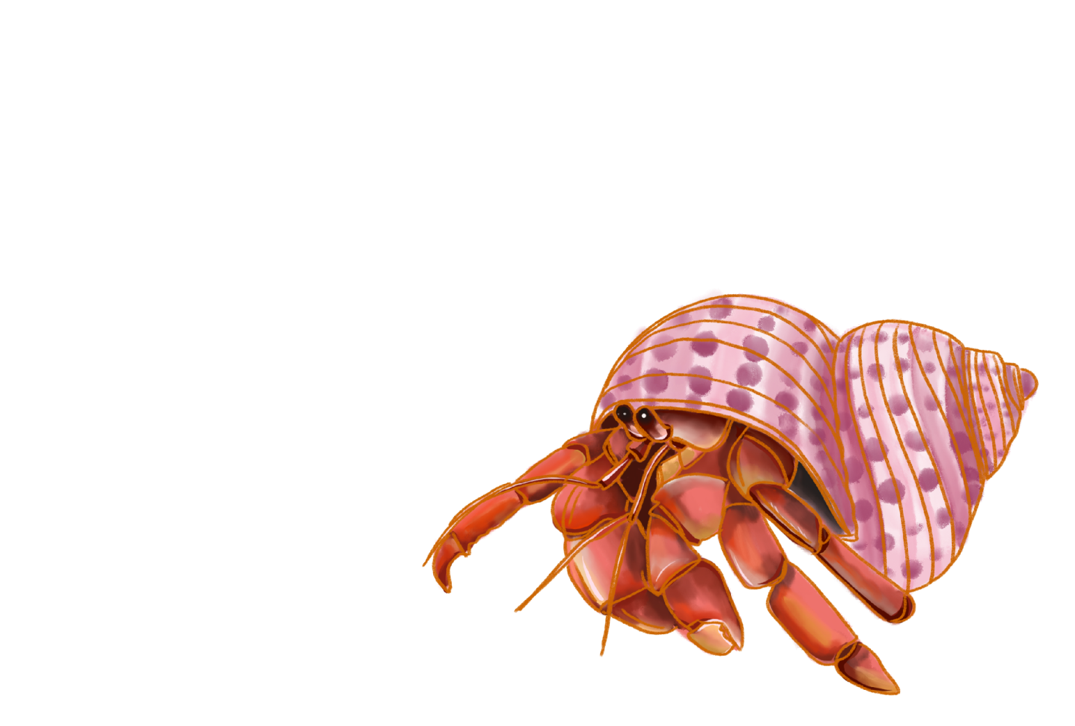 original-artwork-products-sea-shell-shop-rehoboth-beach-de